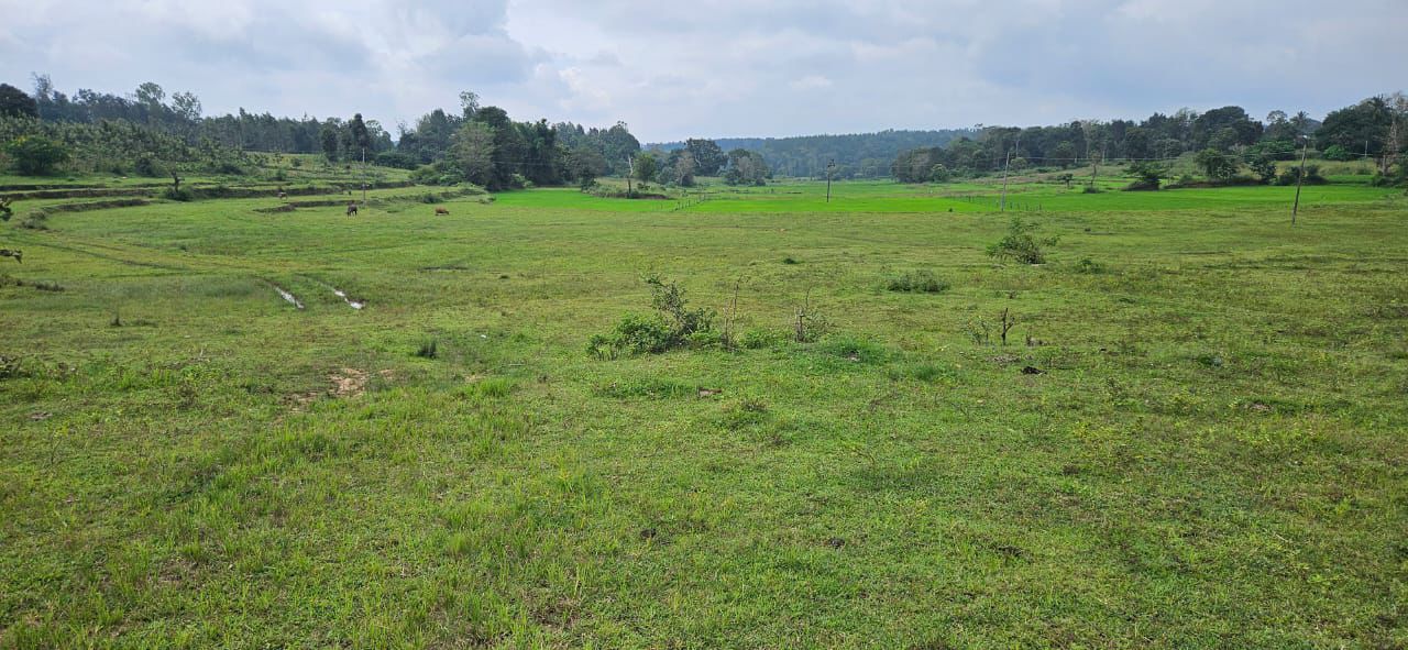 8 acre agri land for sale in Alur taluk Hassan dist 
