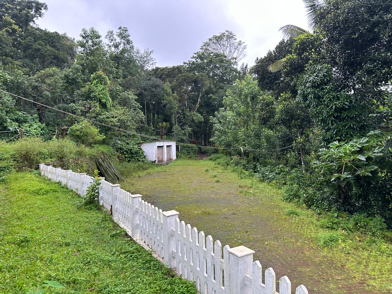 13 acre coffee estate with beautiful farm house for sale in Mudigere - Chikkamgaluru district 