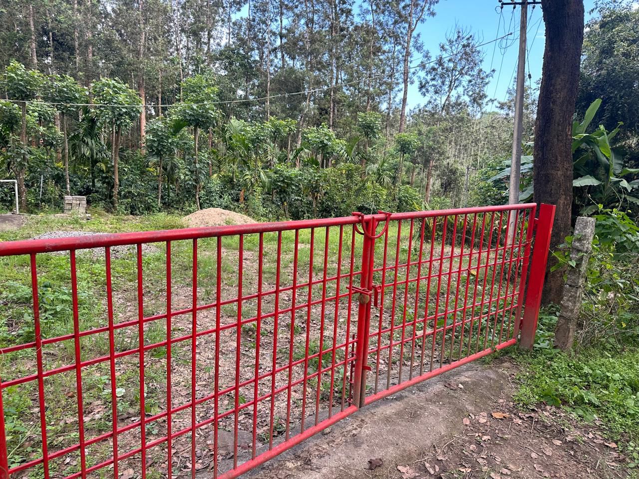  4 acre well maintained Multi crop plantation for sale in Mudigere