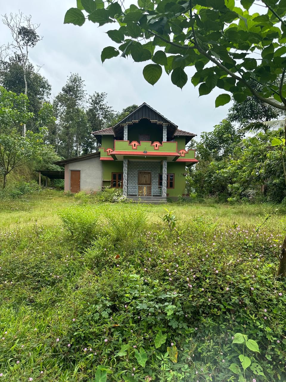  3.5 acre plantation with agri land for sale in Mudigere with farm house