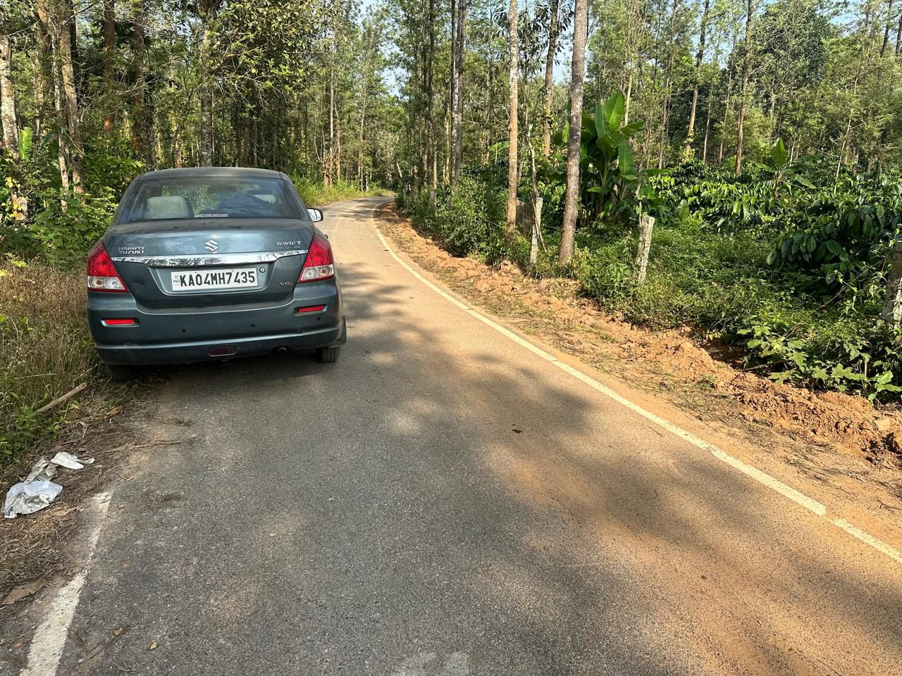  7 acre well maintained plantation for sale near Belur