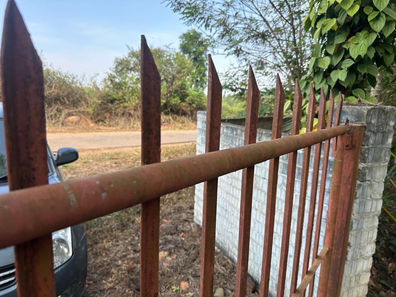   5.5 acre coffee estate with house for sale in Belur
