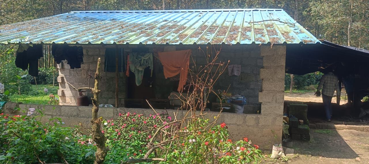 4 acre coffee estate for sale in Chikkamgaluru