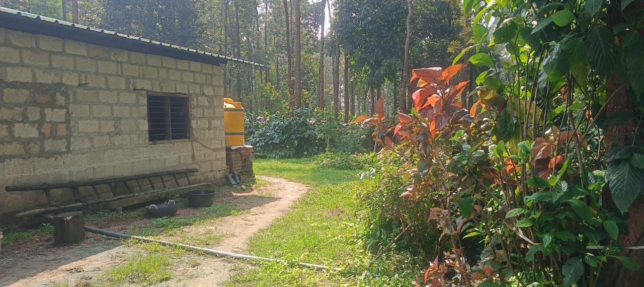 4 acre coffee estate for sale in Chikkamgaluru