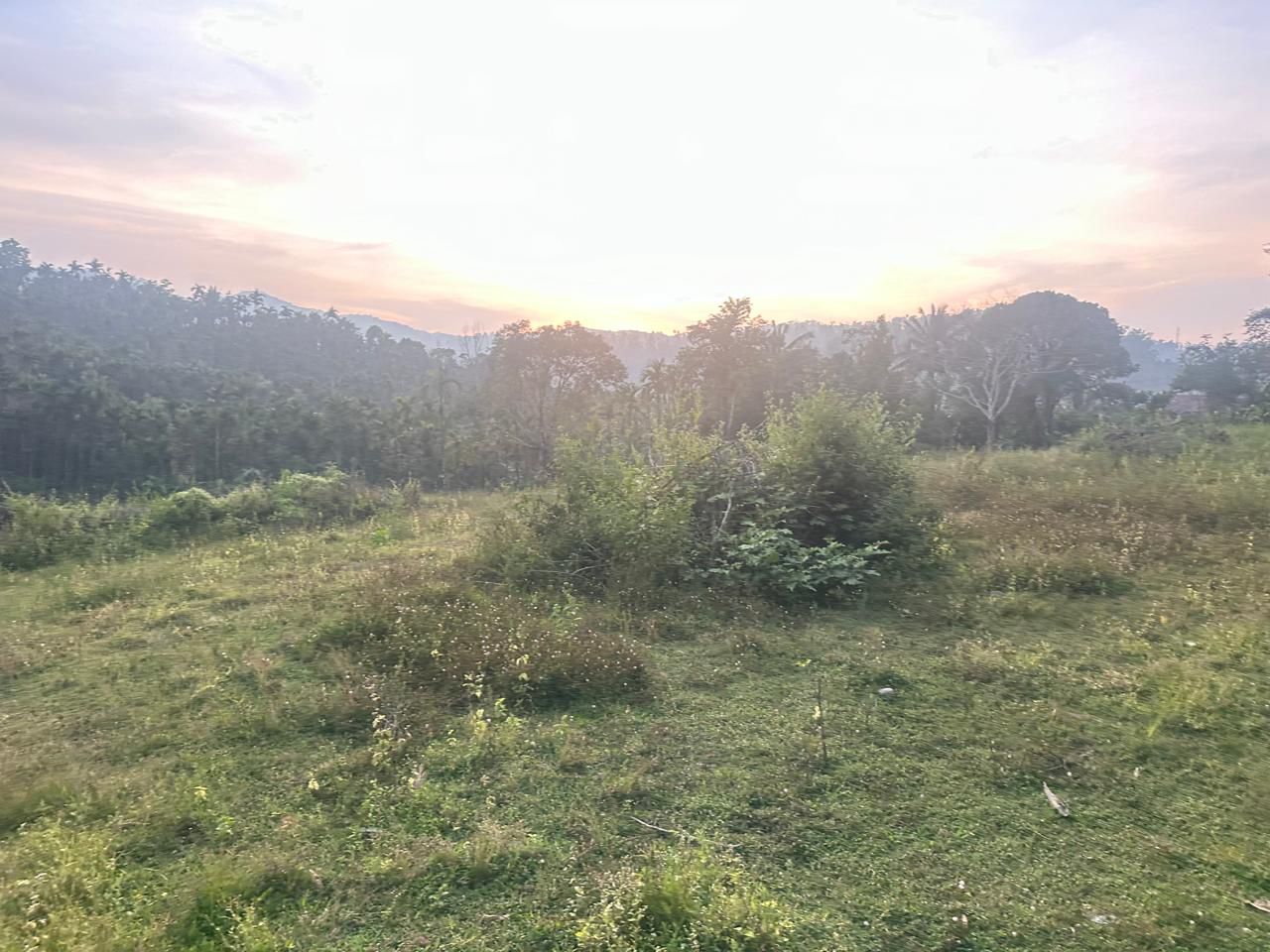 3.10 acre agri land for sale in Kalasa road