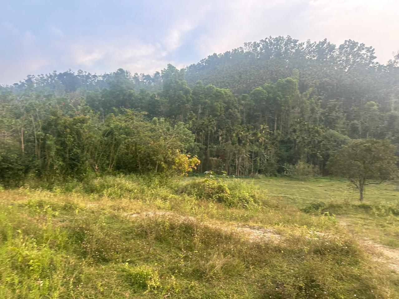 3.10 acre agri land for sale in Kalasa road