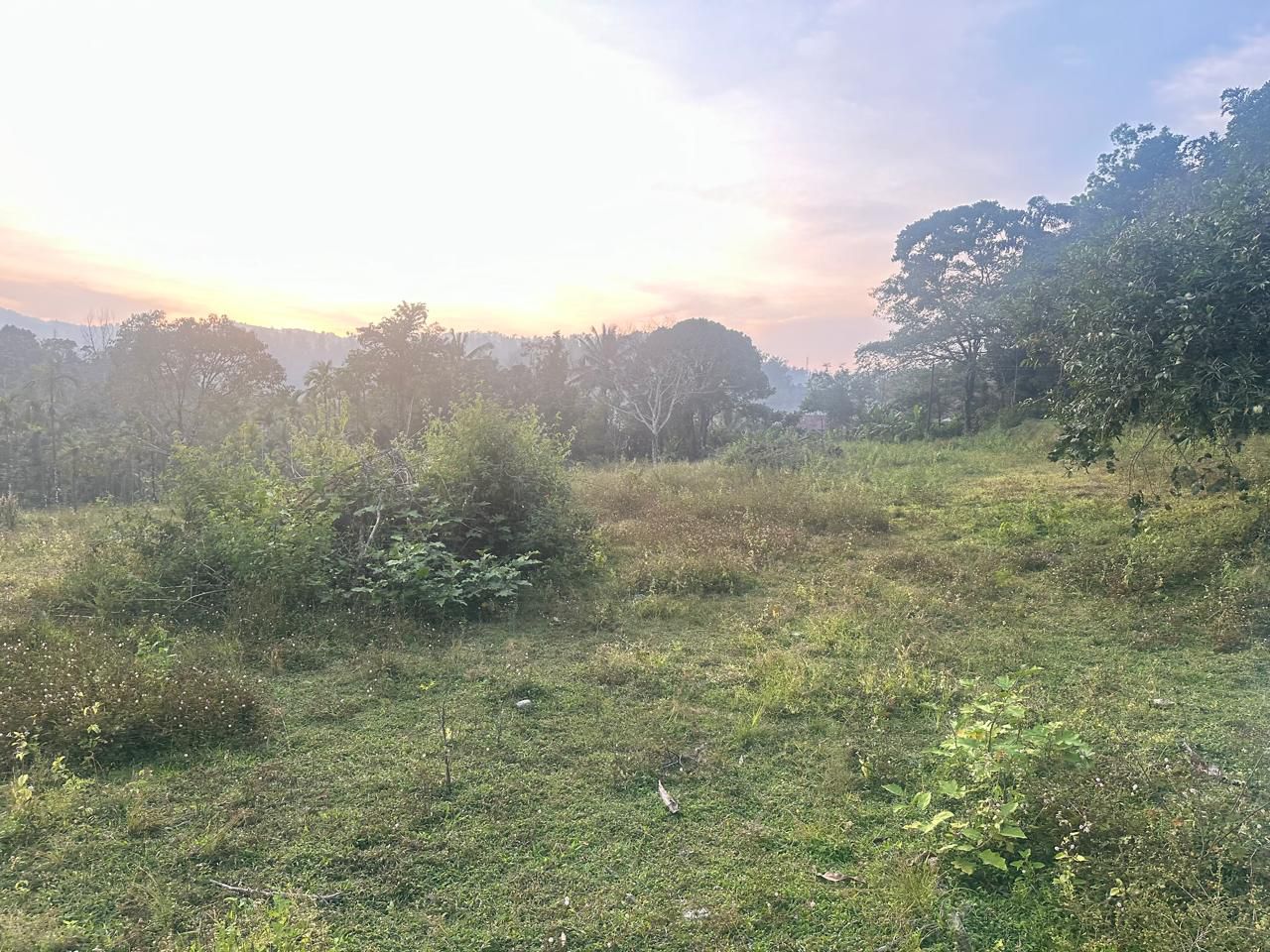 3.10 acre agri land for sale in Kalasa road