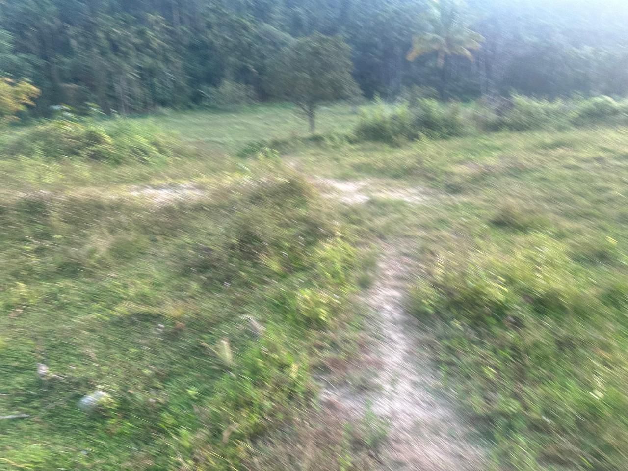 3.10 acre agri land for sale in Kalasa road