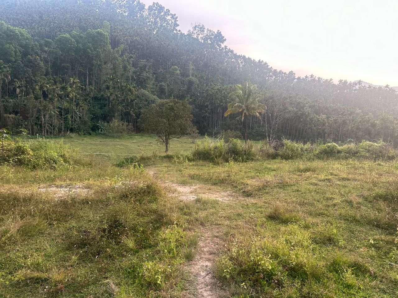 3.10 acre agri land for sale in Kalasa road