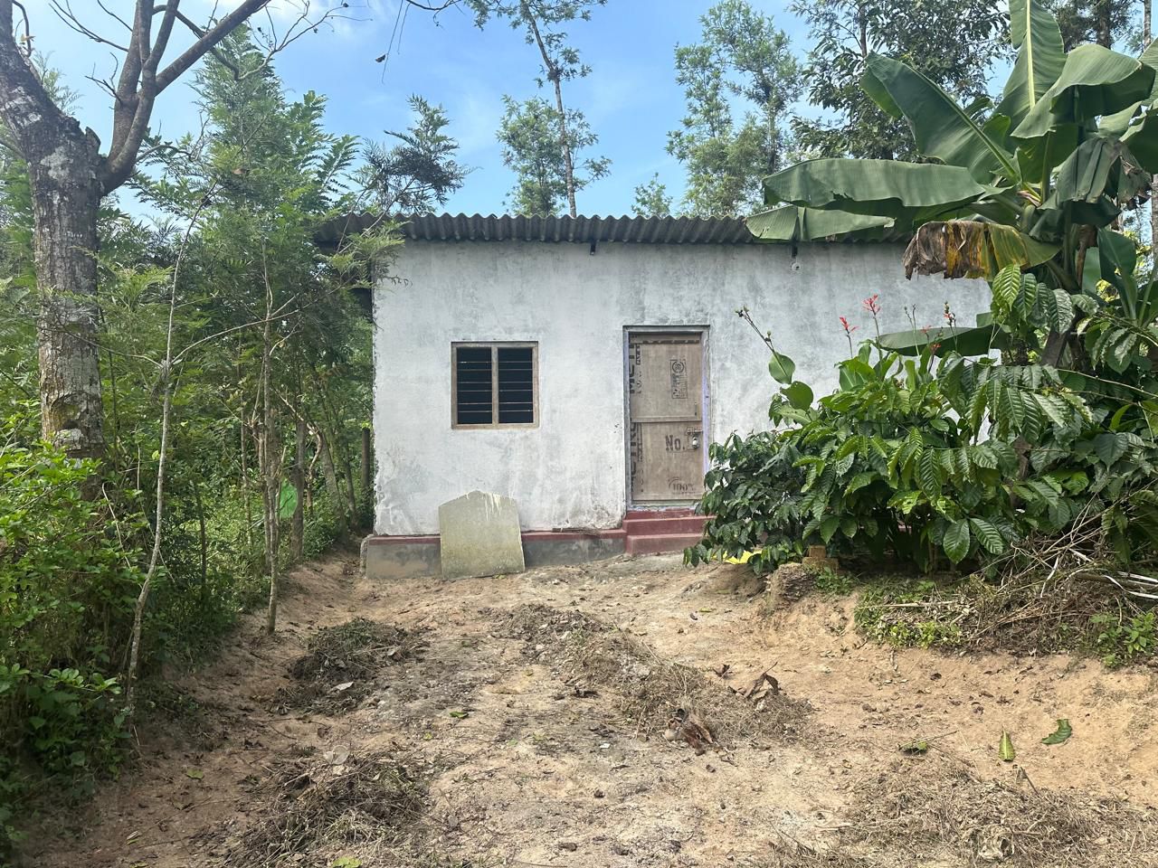  1 acre coffee estate for sale in Saklehspura