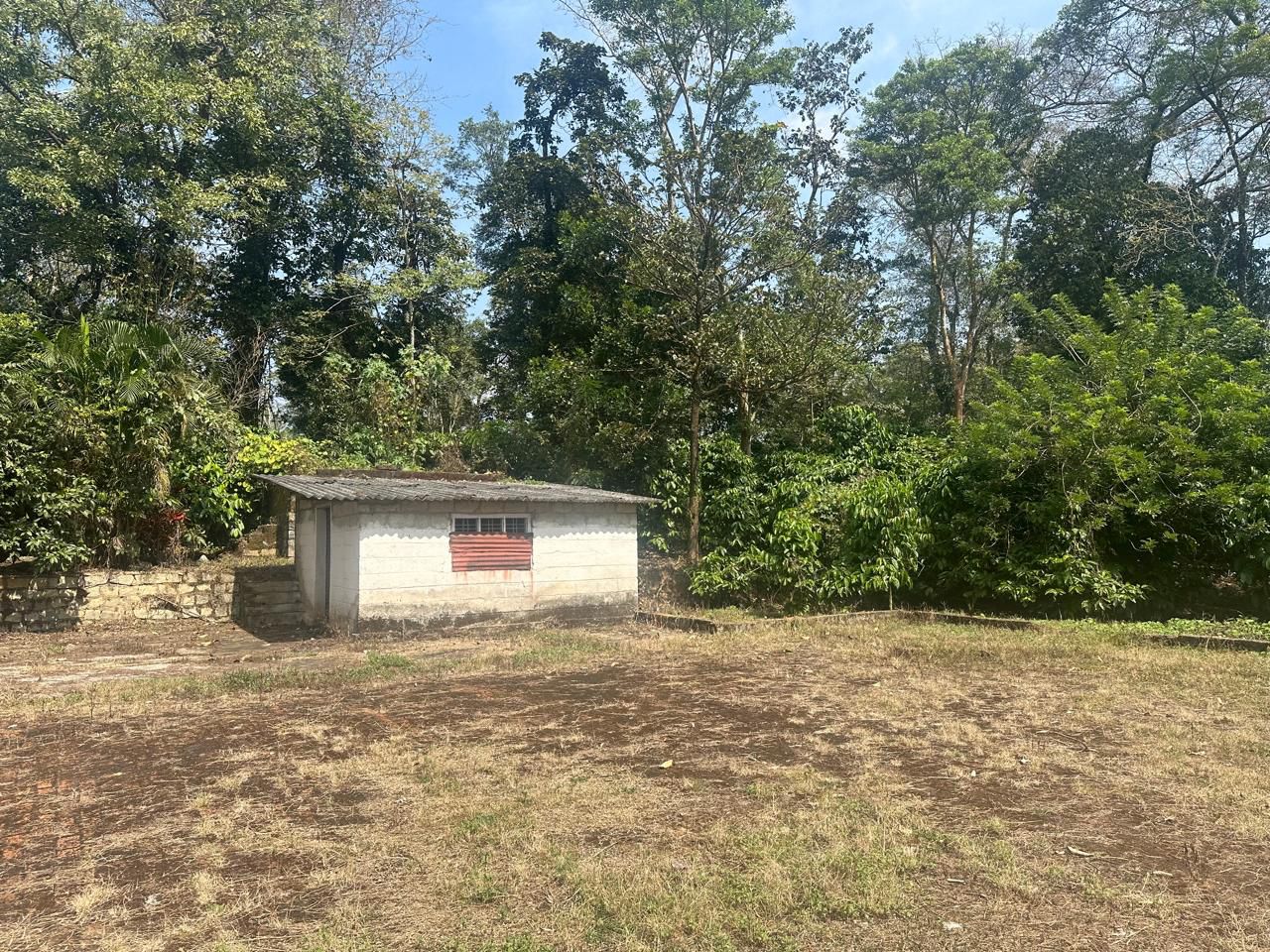 7 acre coffee estate for sale in Saklehspura