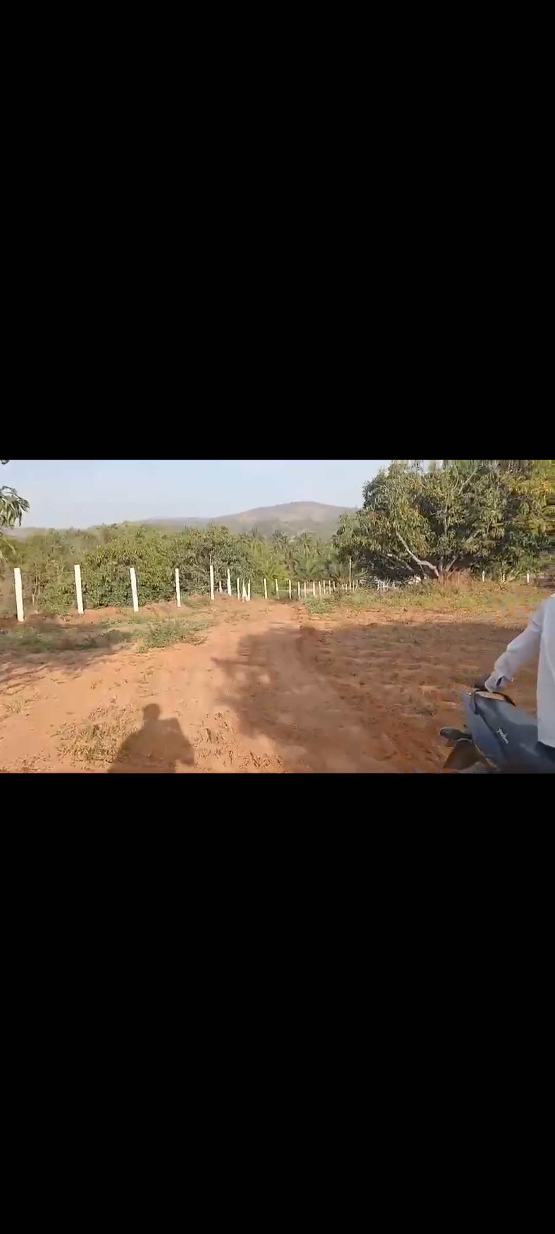 *1 acre mango plantation for sale in Bidadi*