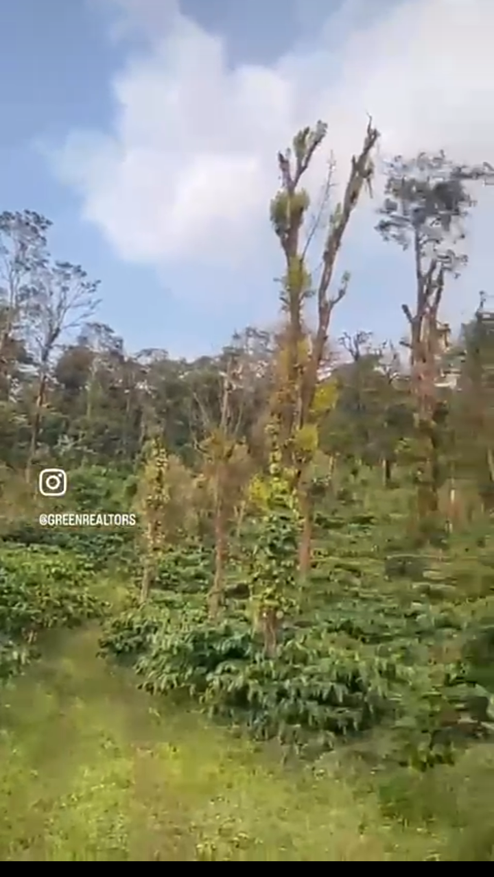 *Property ID – 5123*  ☕🌳 *10 Acres + 10 Acres Extra Paisari Land – Coffee Estate for Sale Near Madikeri (Coorg) *