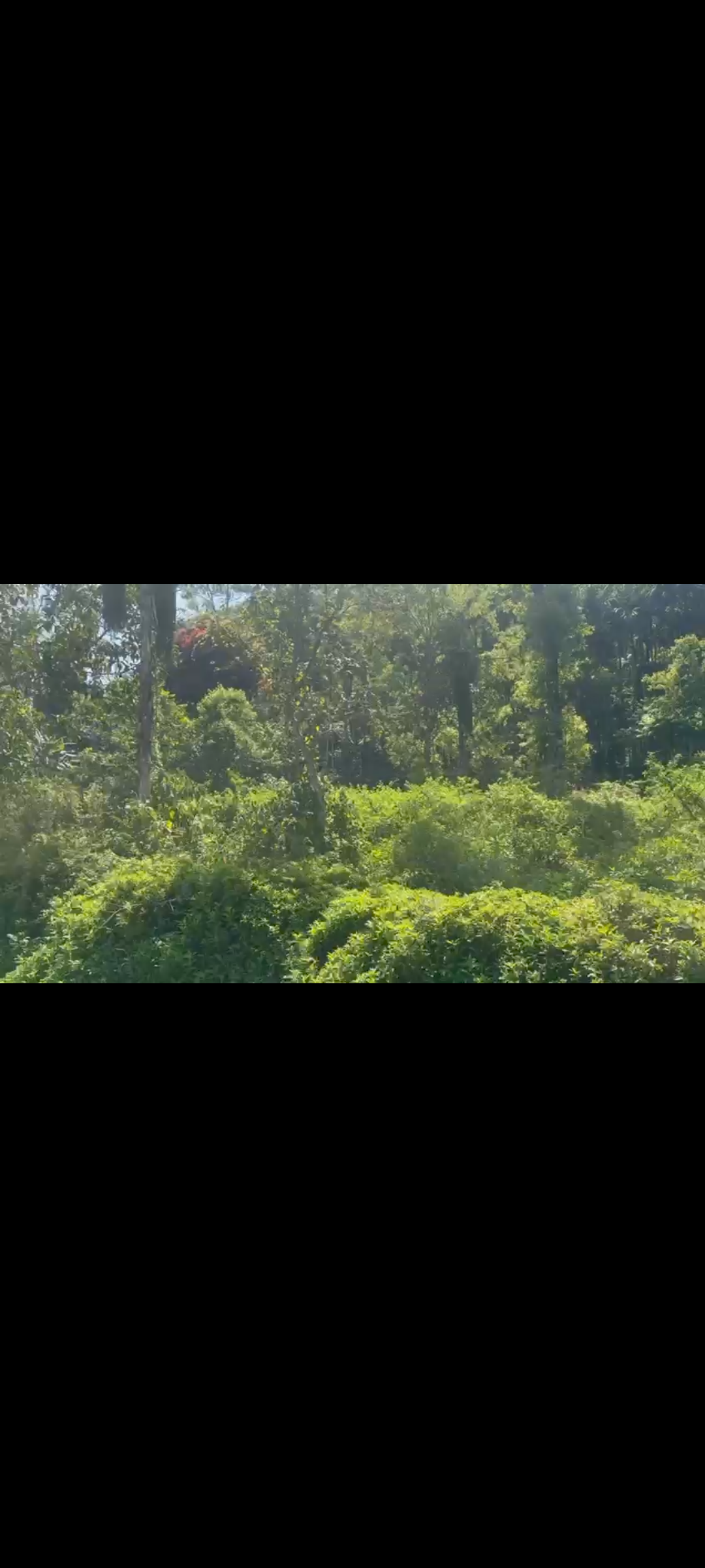 1.10 acre land for sale in Mudigere*