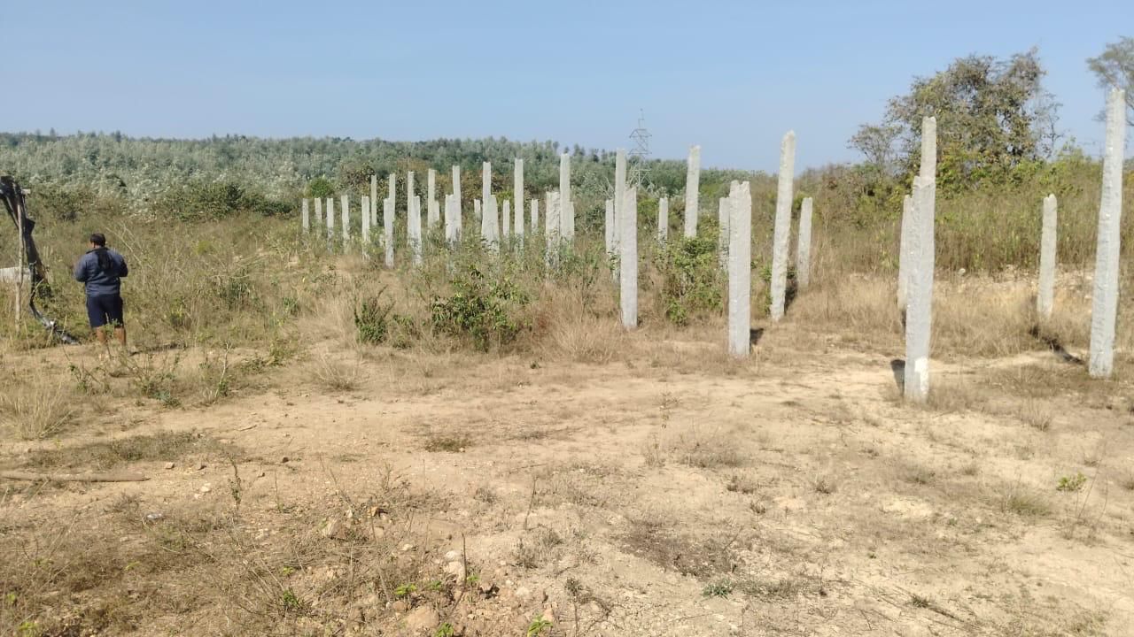 1.5 acre land for sale in Belur