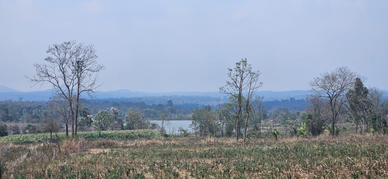 10.5 acre plantation for sale in Sakleshpura