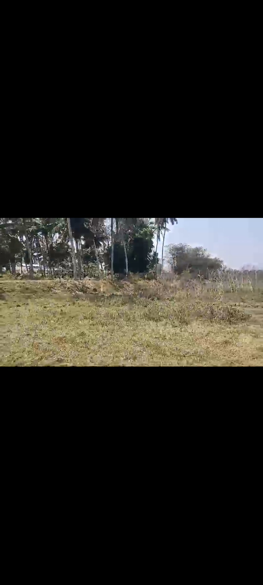 14 Gunta Commercial Land for Sale in Mahadevarahalli, Hassan