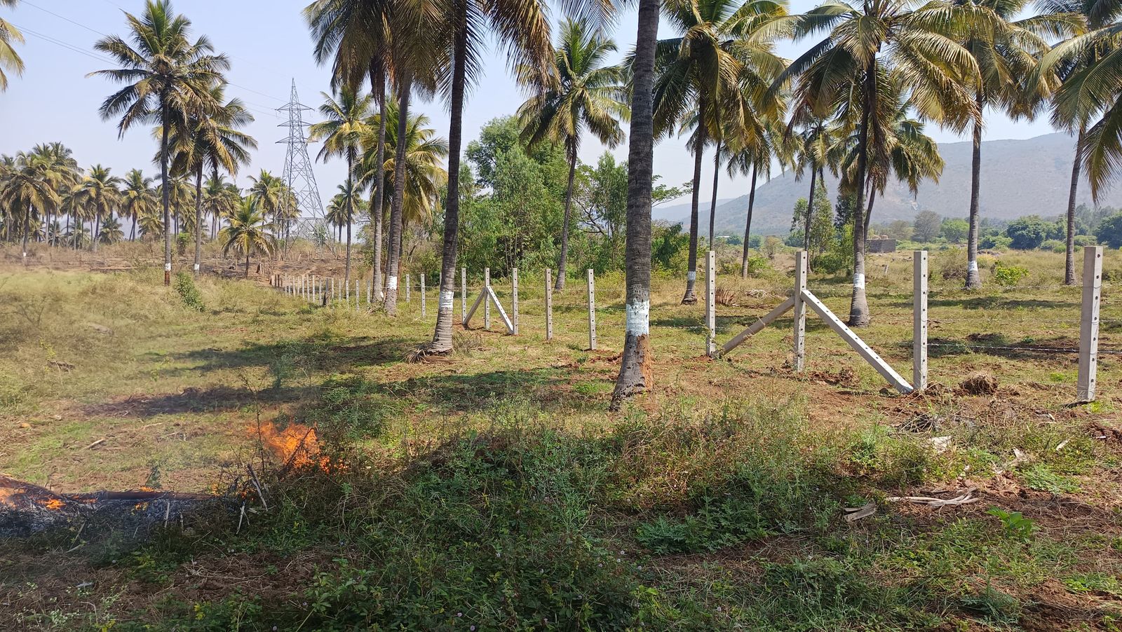 14 acre kaveri river facing farm land for sale in Malavalli