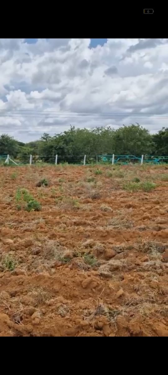  1 acre 1 gunta - Property Type: Farm land