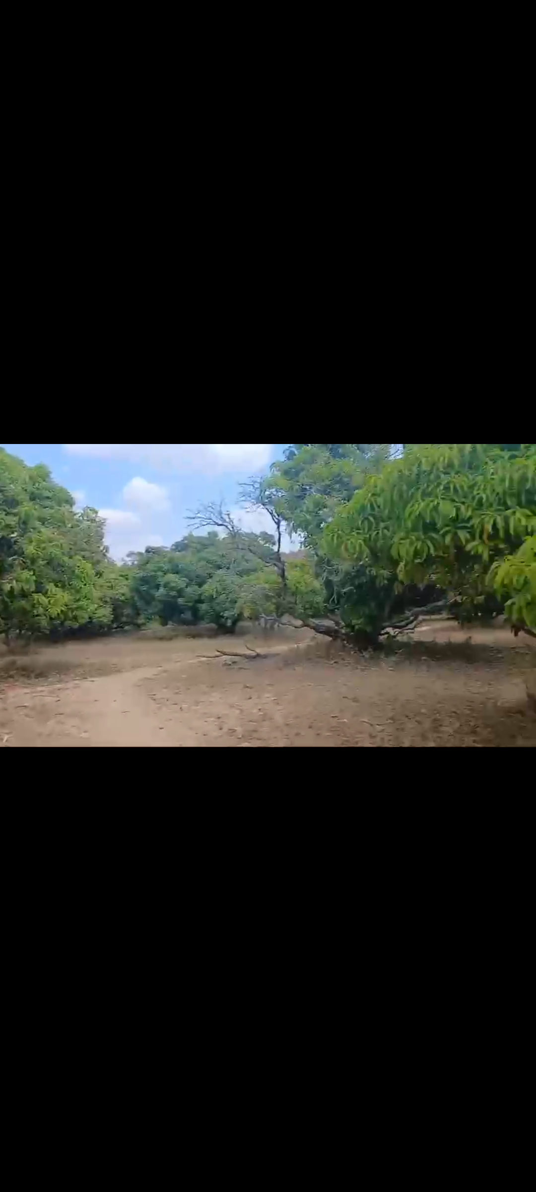 1 acre 5 gunta farm land for sale in Ramangara