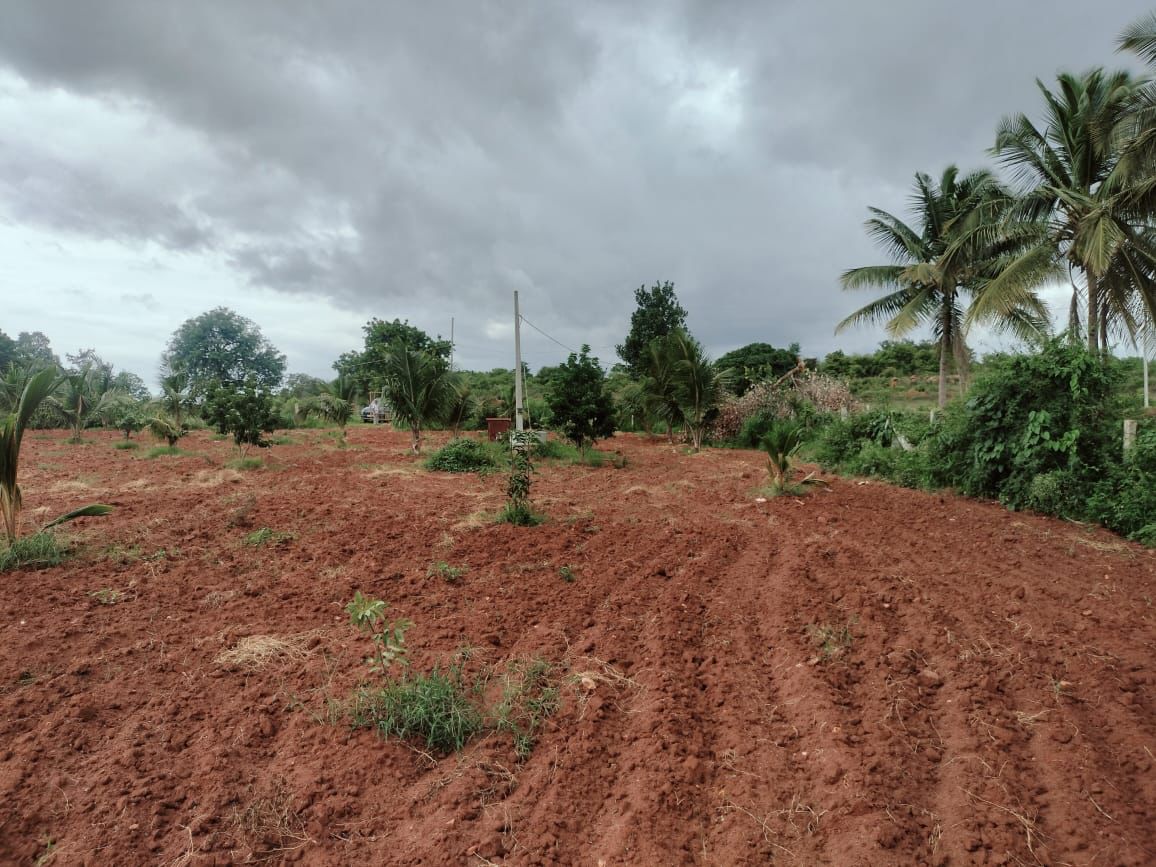 1 acre land for sale near Harohalli