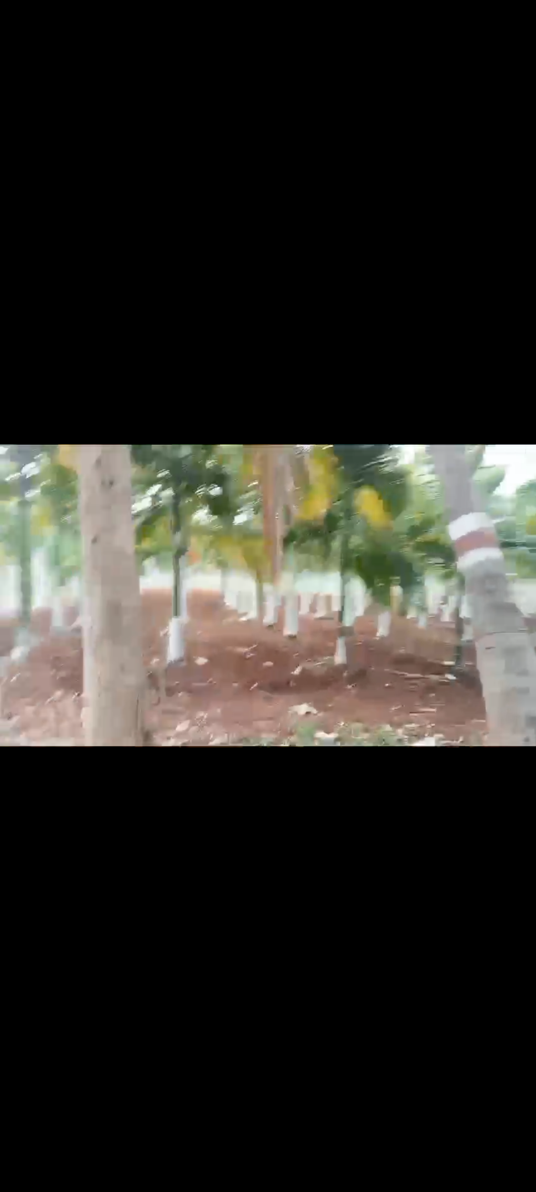 21-Acre Arecanut & Coconut Farm for Sale near Halgoor*