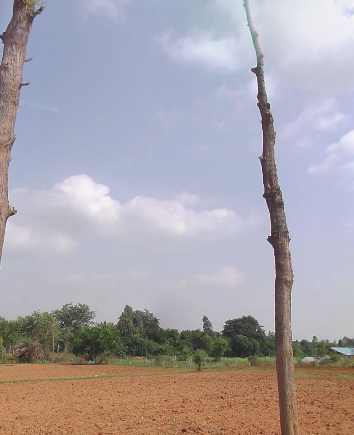 3.14 acre converted land for sale near Yelahanka RTO  office