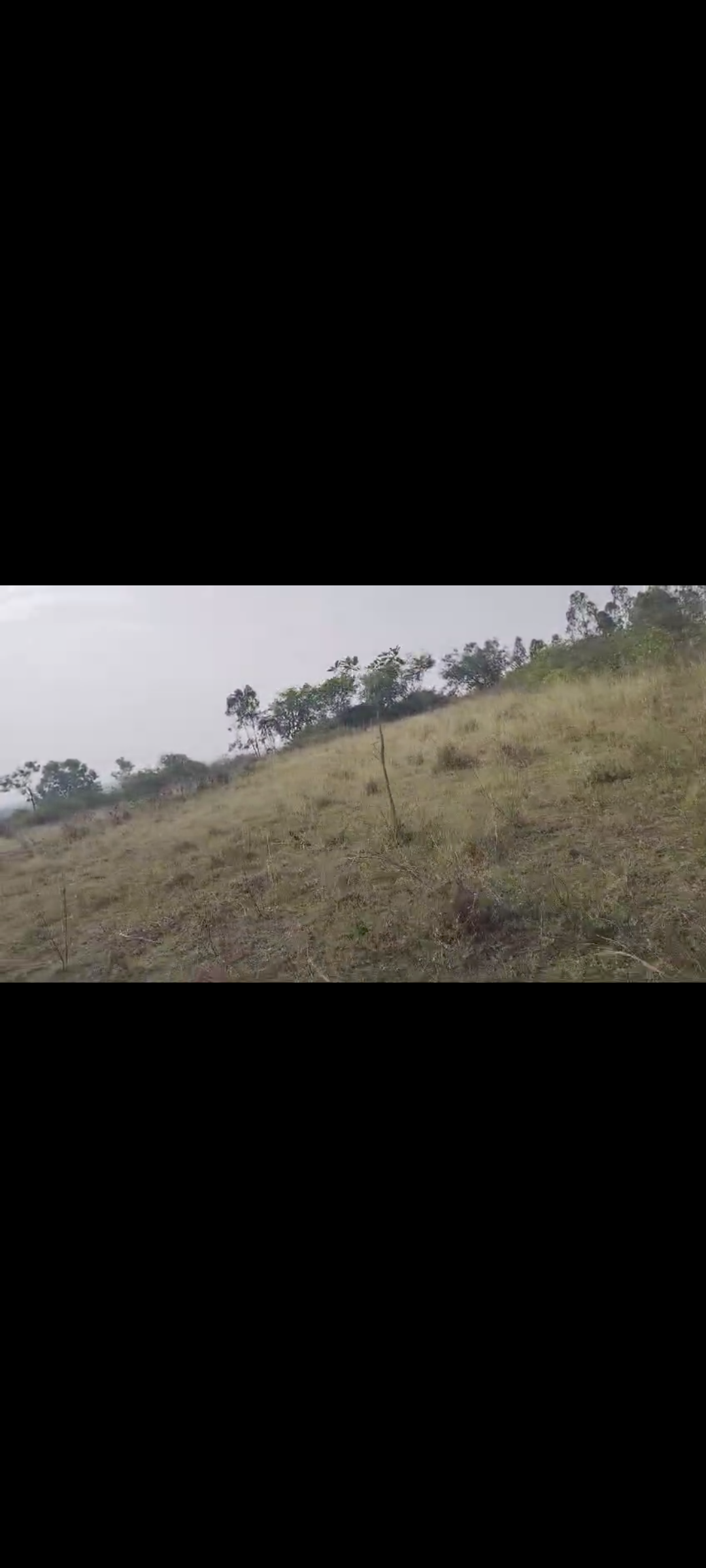 30 Acre Land for Sale in Ramangara