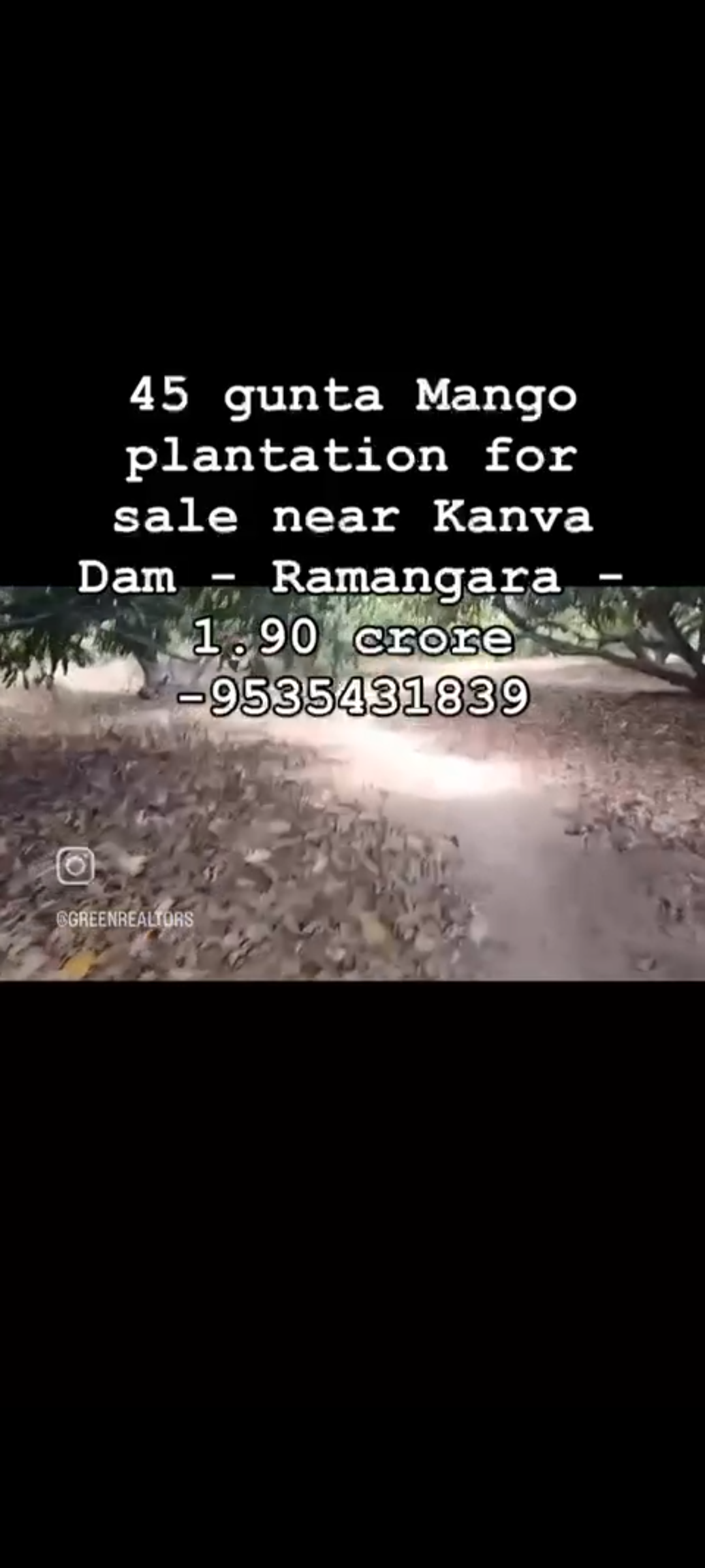 45 gunta mango plantation for sale in Ramangara