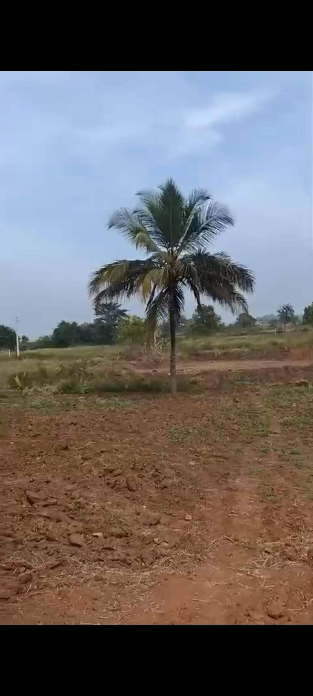 5 acre farm land for sale in Kankapura