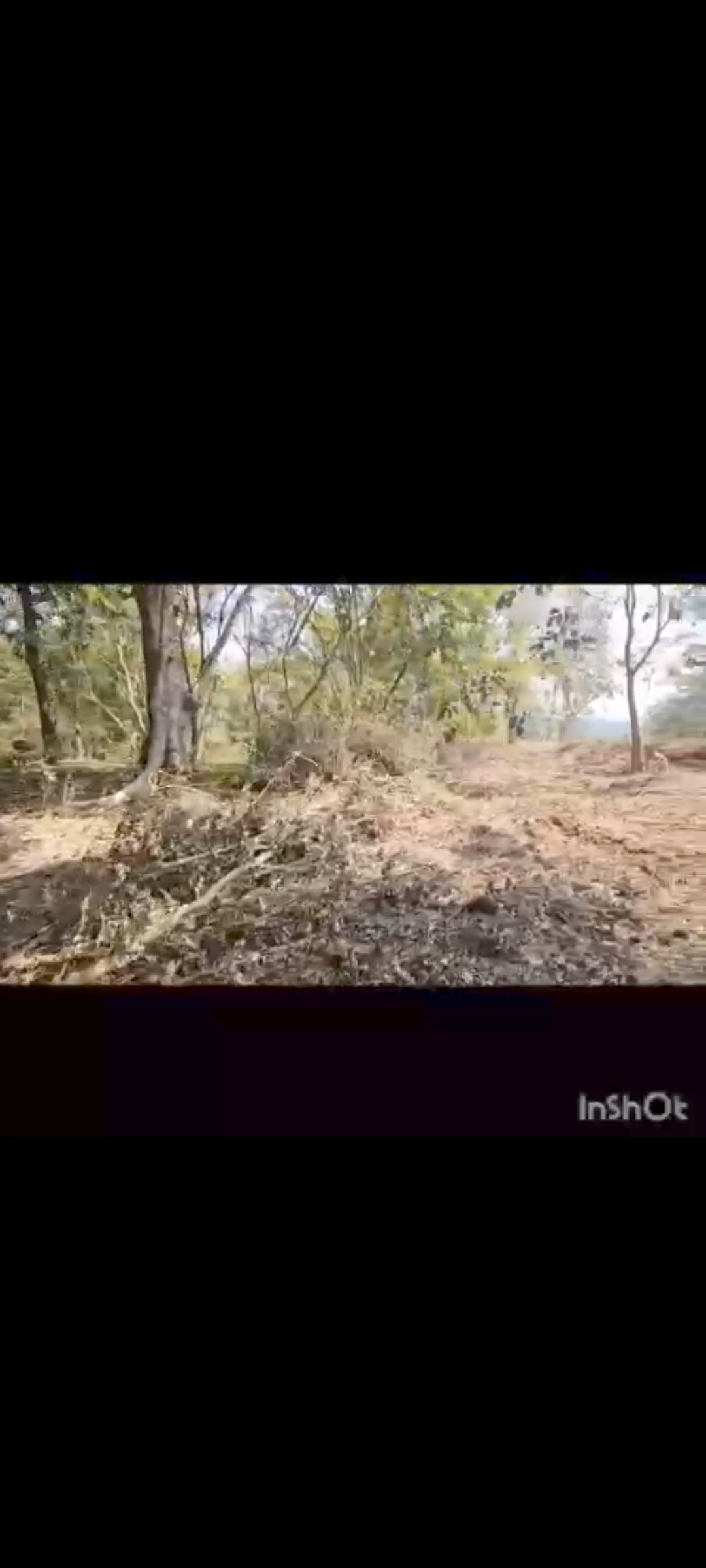5 acres land for sale in Hassan