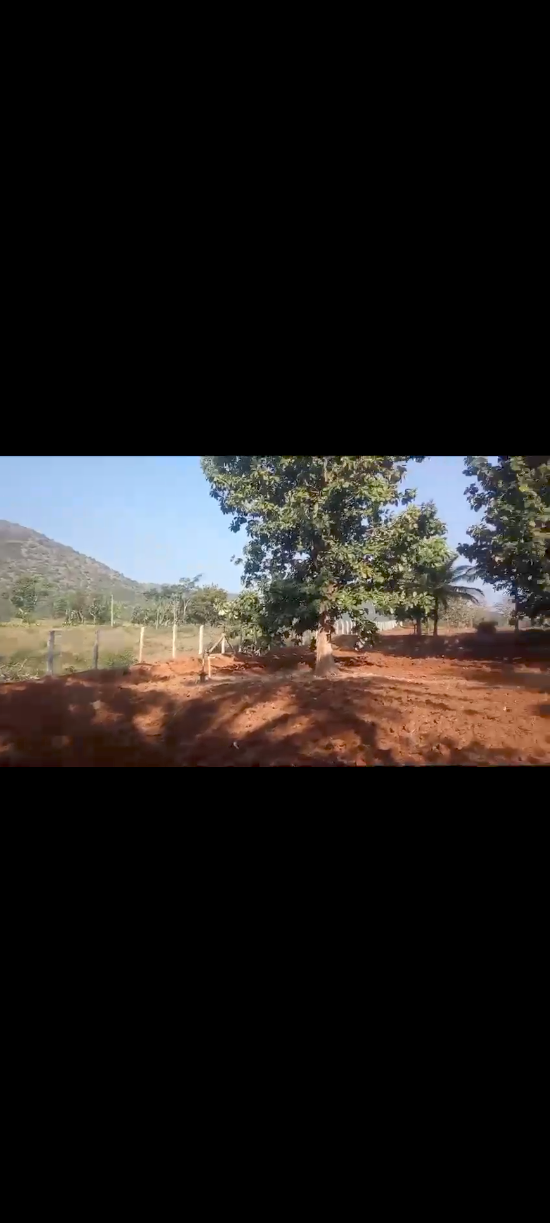 5 acres plantation for sale in Kollegala - Chamrajanagara district property id4070