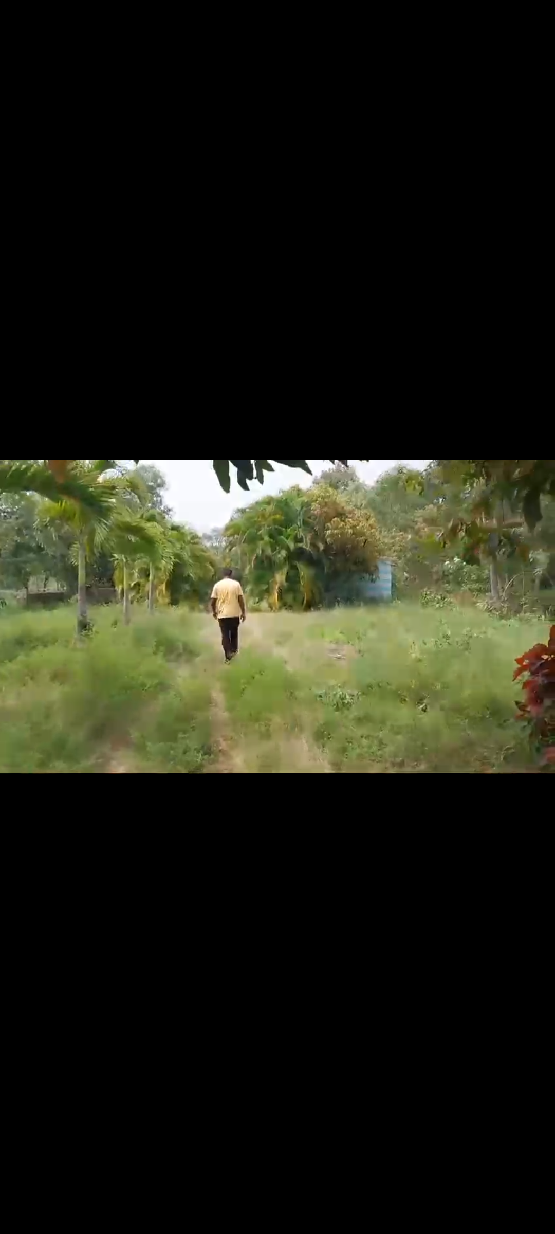 6.20 Acre farm land for sale in Kankapura