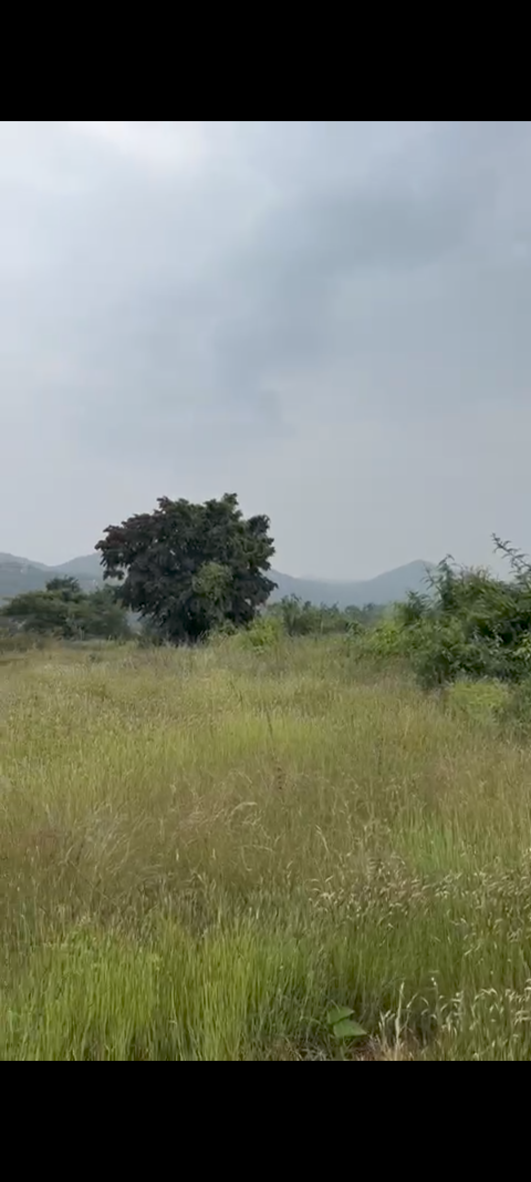  6 Acres 10 Guntas for Sale@ Manchenahalli