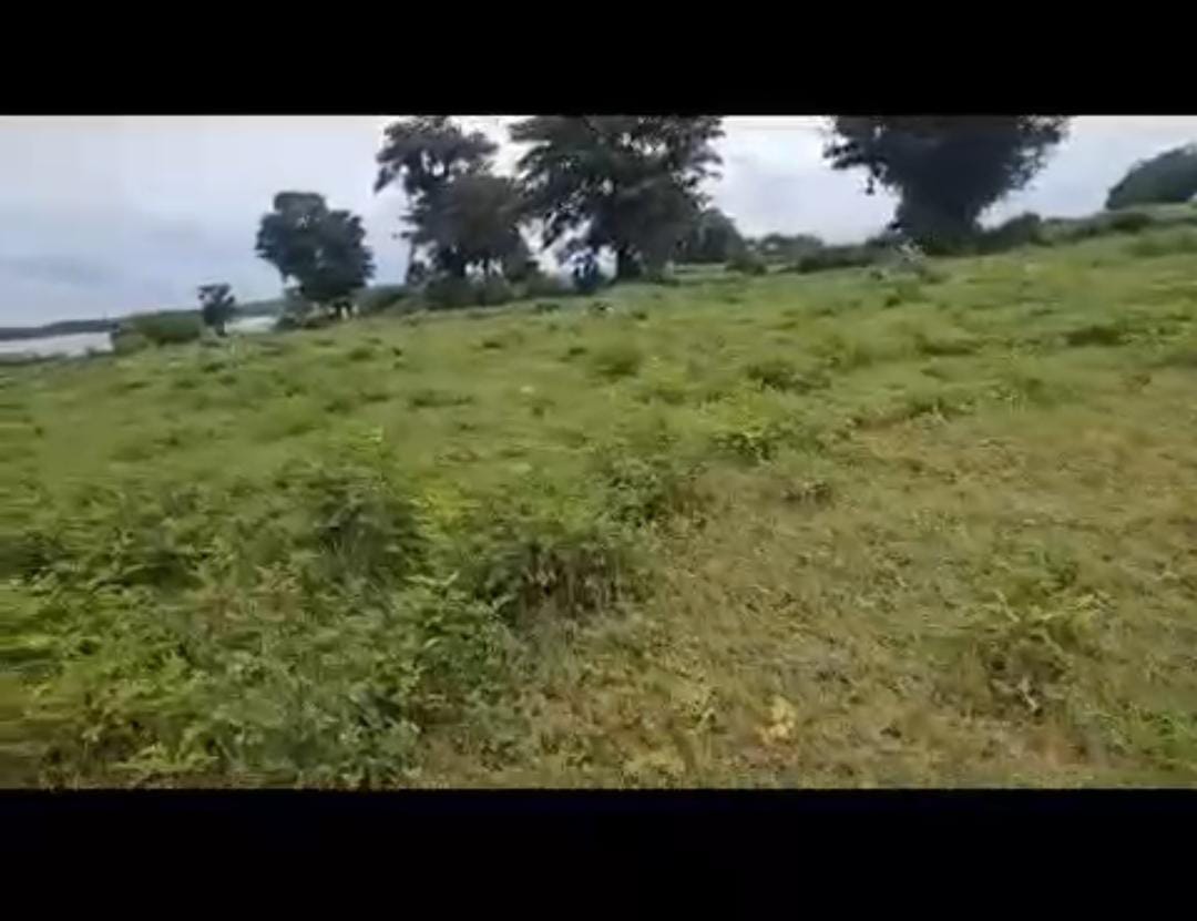 Agricultural Land for Sale in Hassan - Location: Hassan, 16 km from Hassan city - Land Area: 6 acres