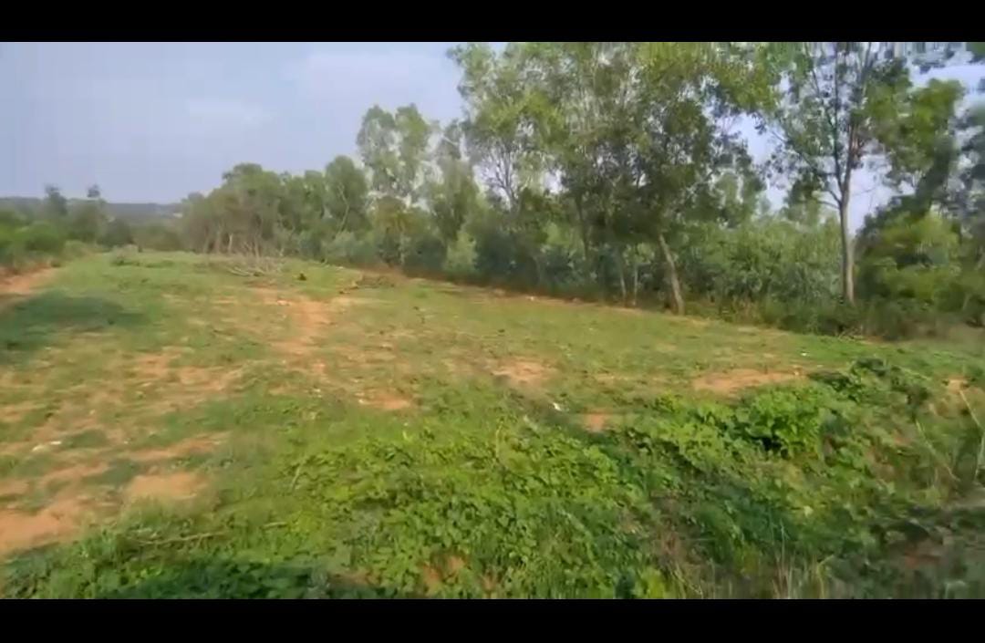 Agricultural Land for Sale!  - Location: Kanakapura - 31 gunta land