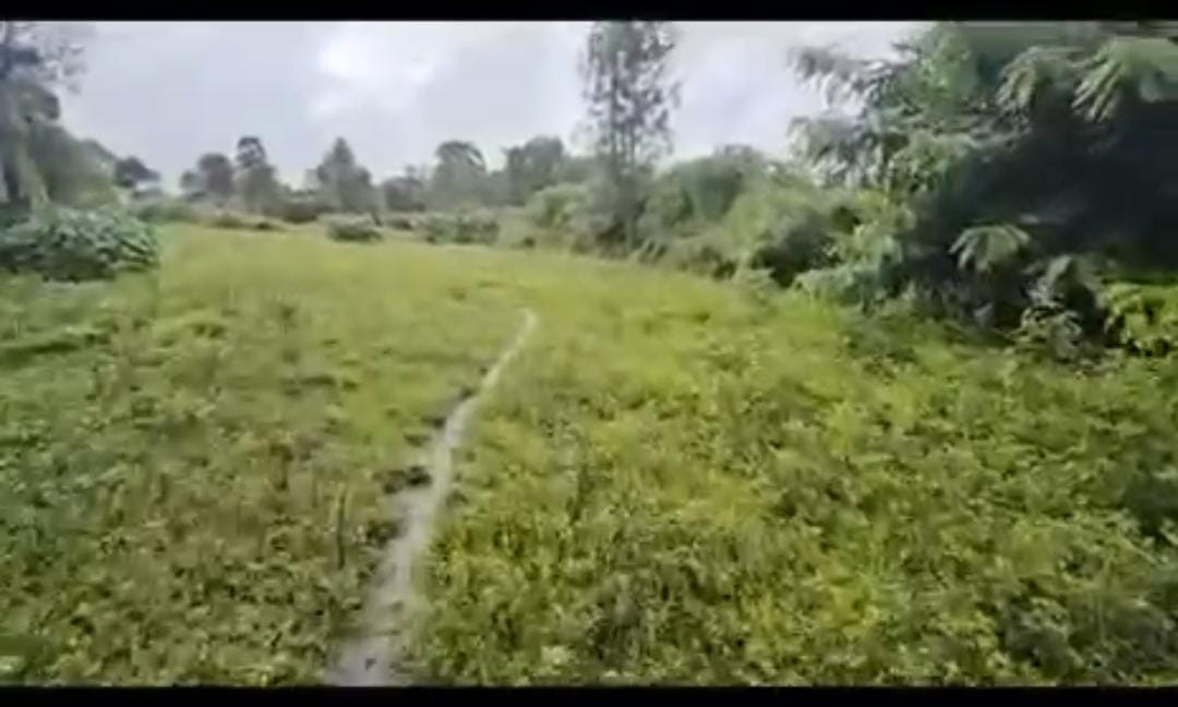  Alur, Hassan district, 12 km from Alur - Land Area: 10 acres