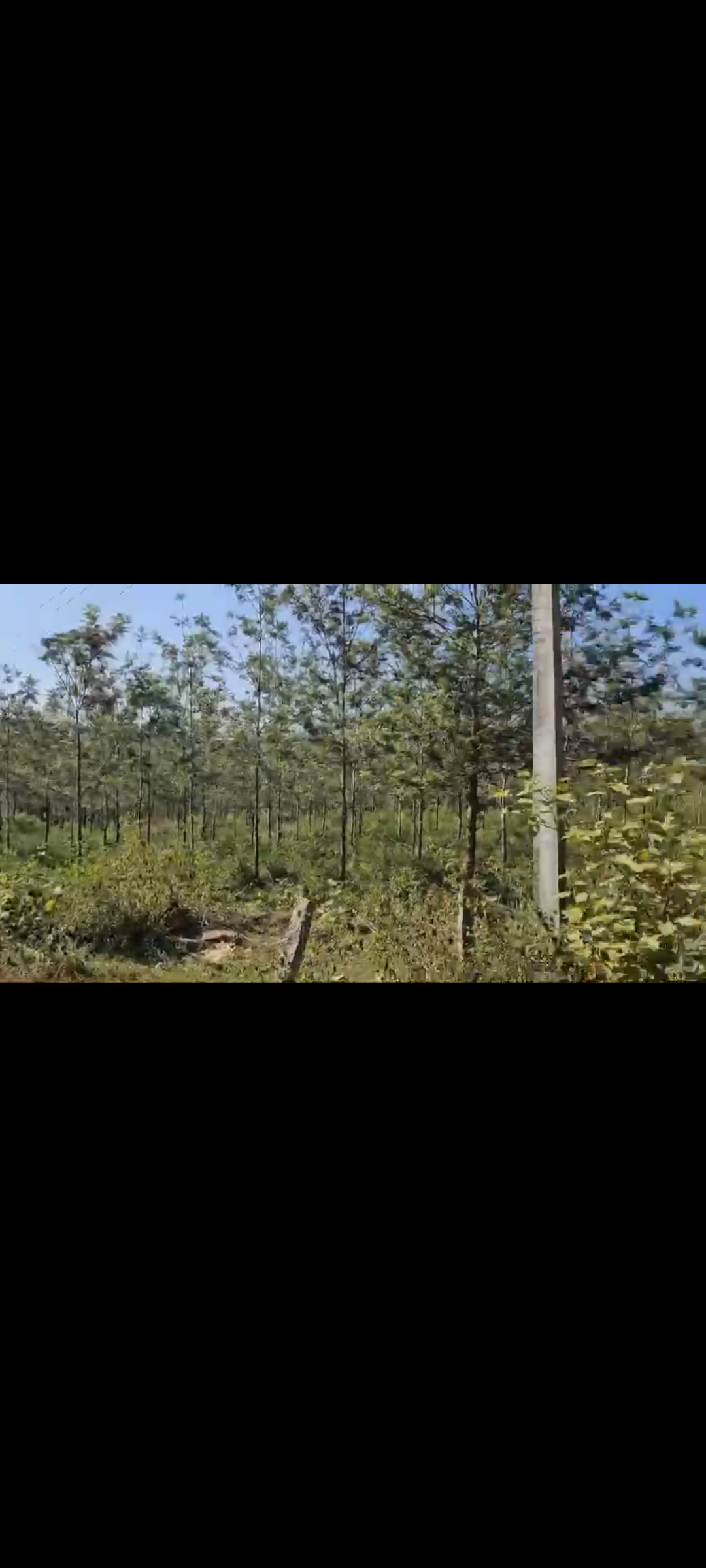 An excellent investment opportunity awaits! If you're looking for agricultural land, here's a fantastic property with great potential