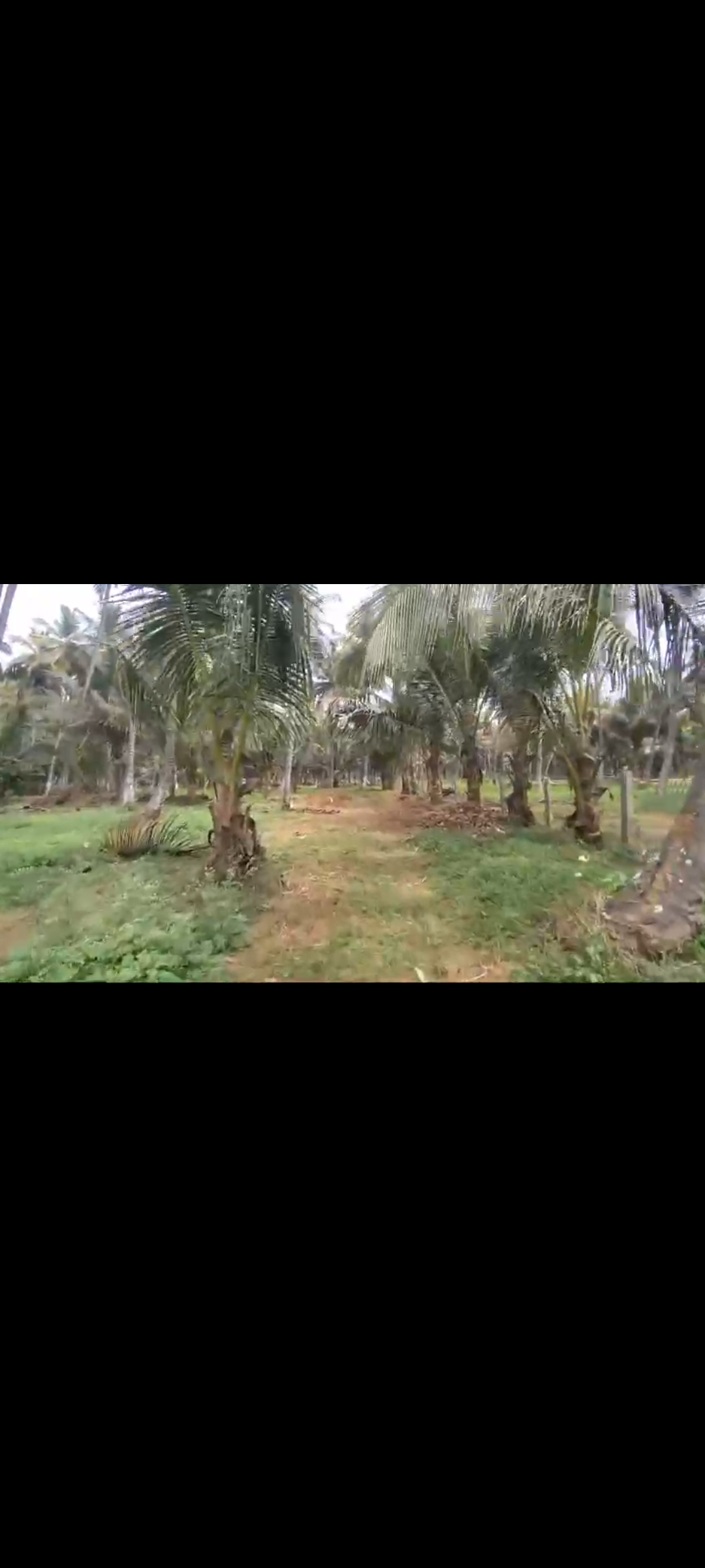 Arkavathi river facing farm land for sale in Kanakpura