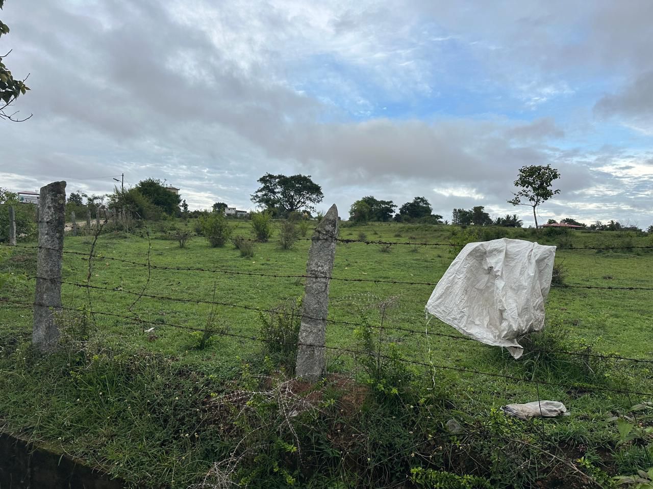 Belur city - 9 acre commercial converted land for sale