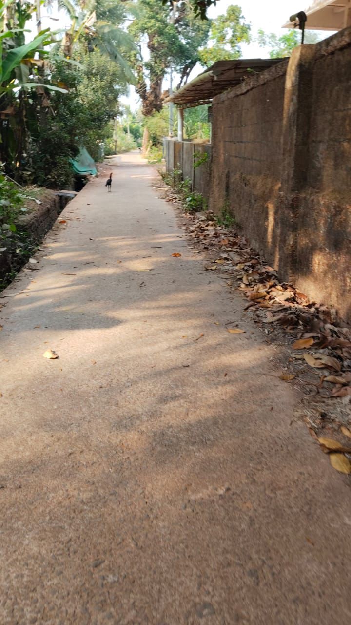 Bramhavara, Udupi, Chantaru Grama Brahmavara - 20.25 cent land for sale