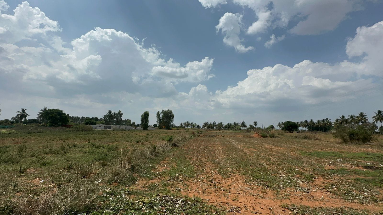 Commercial Land for Sale!  - Location: Doddabalapura to Nandhi Hills Main Road - 2 acre land