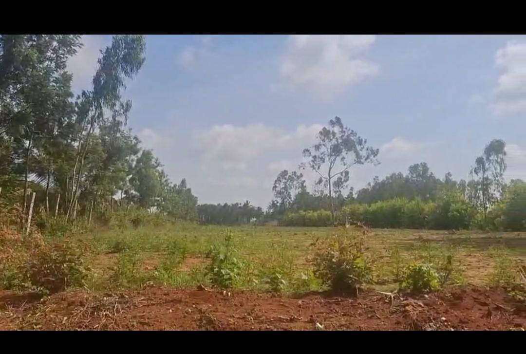 Doddabalapura - 1 acre farm land for sale,