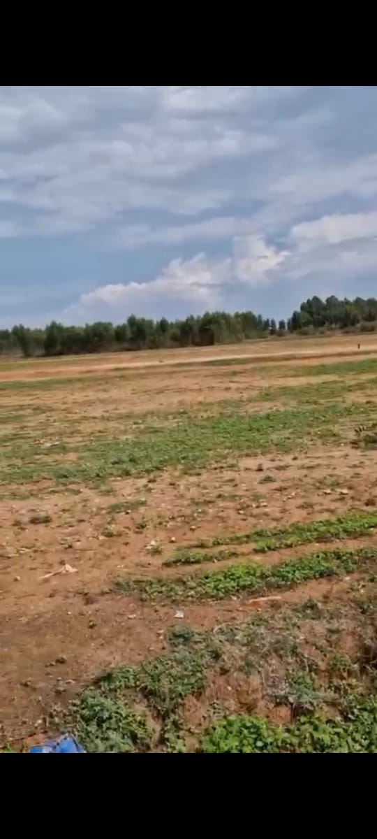 Doddaballapura - 2.32 acre farm land, tarr road approach