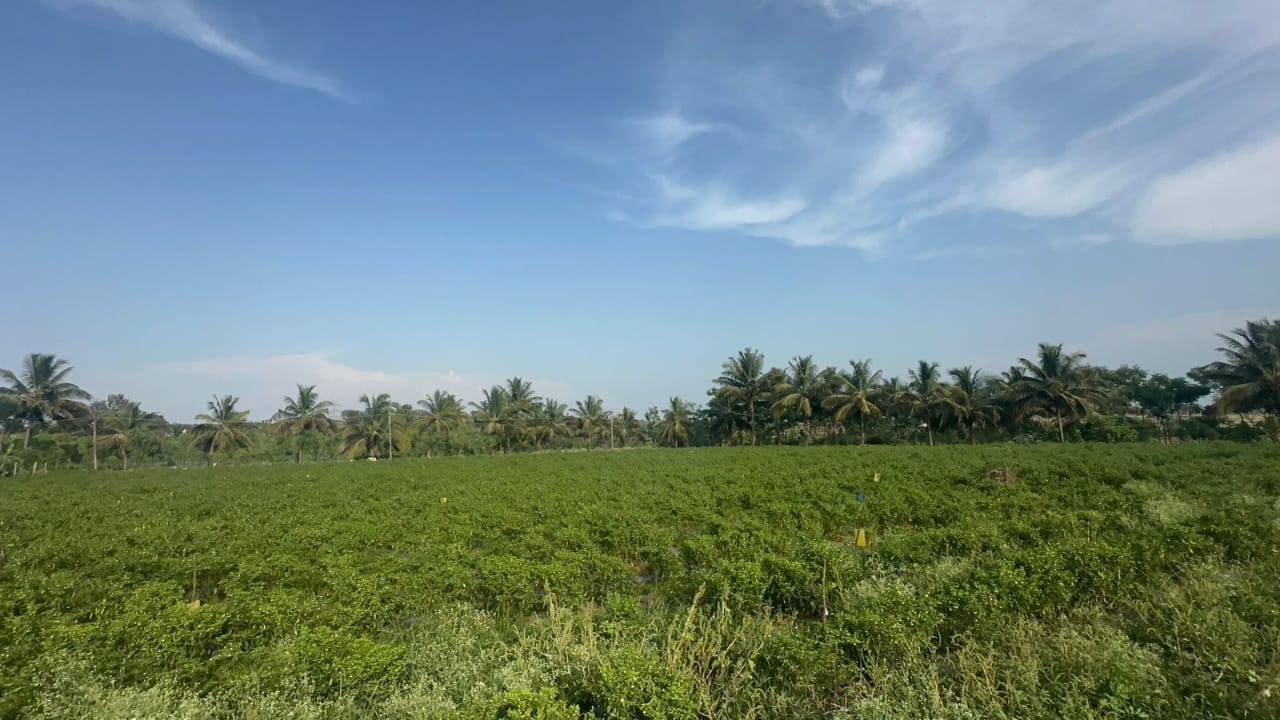 Farm House for Sale!  - Location: Nelamangala - 10 acres 20 gunta land
