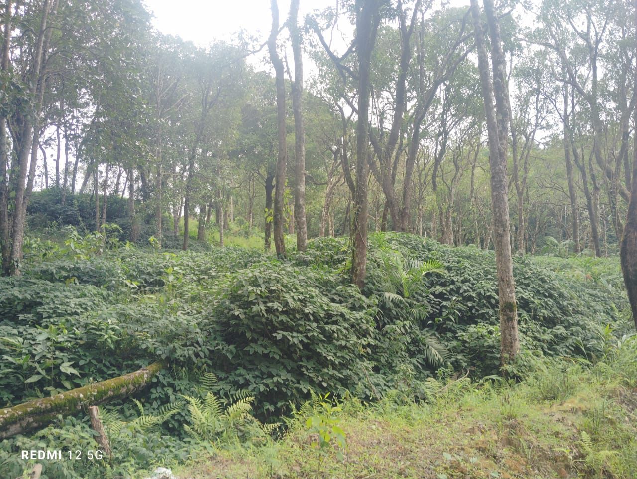 Farm Land for Sale in Tarabanahalli!  - 8 Gunta farm land
