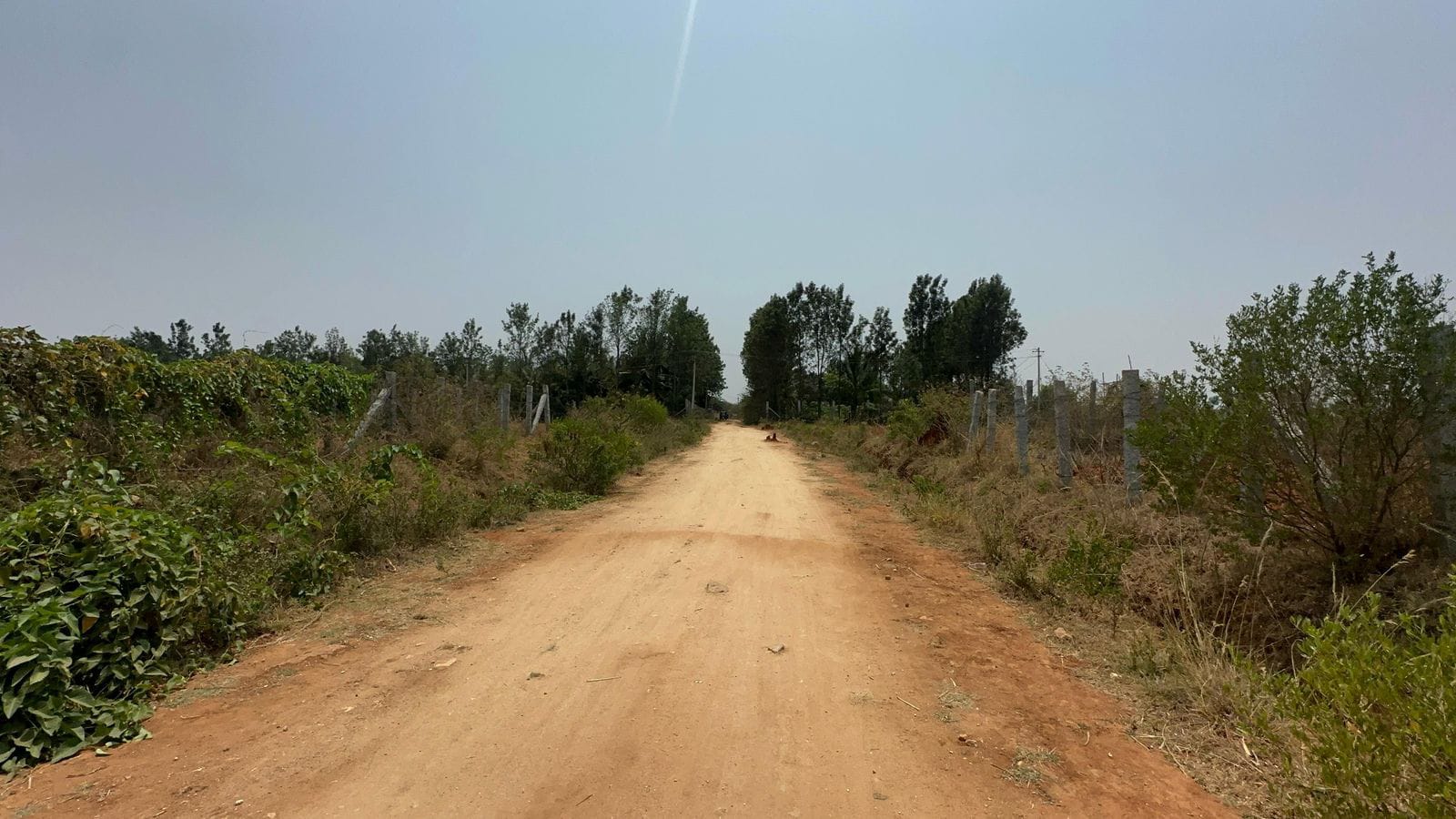 Farm Land for Sale near Nandi Hills 
