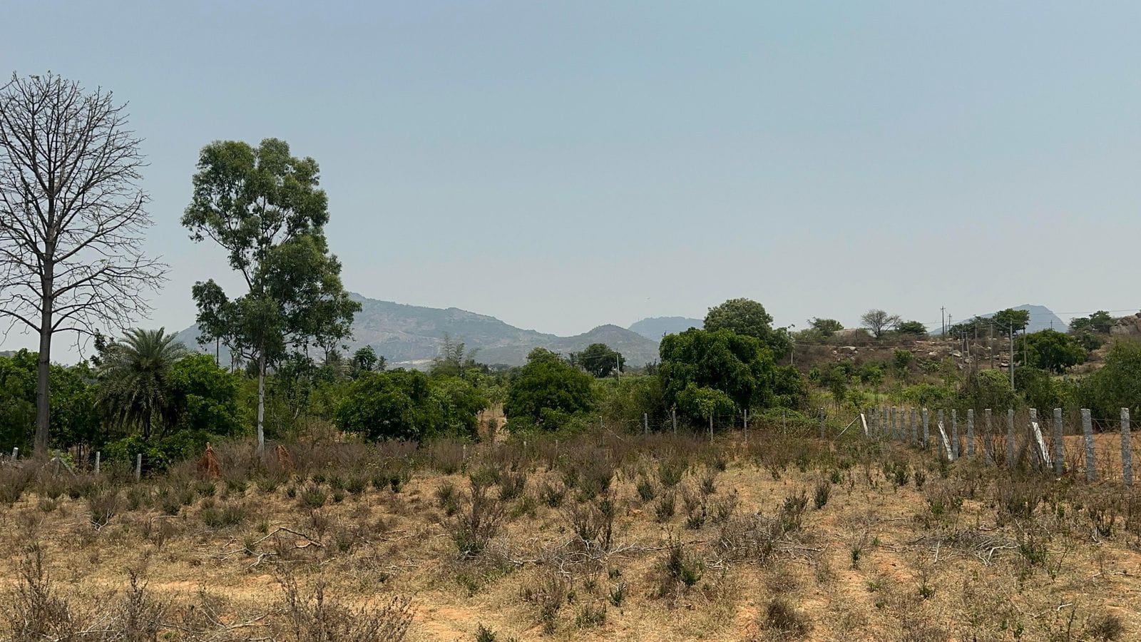 Farm Land for Sale near Nandi Hills 