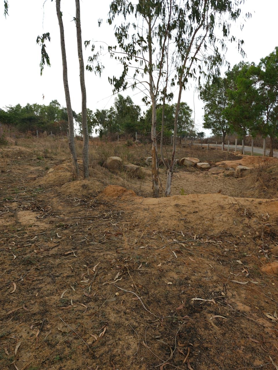 Farm Land for Sale!  - 1 acre 33 gunta farm land