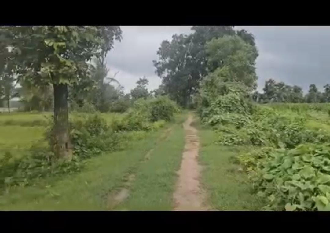 Hassan, 16 km from city, adjacent to back water - 5-acre back water facing land 